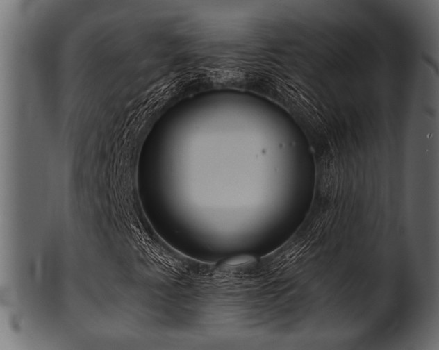 X0000101951345200807181441