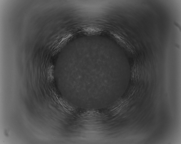 X0000101951346200807181441