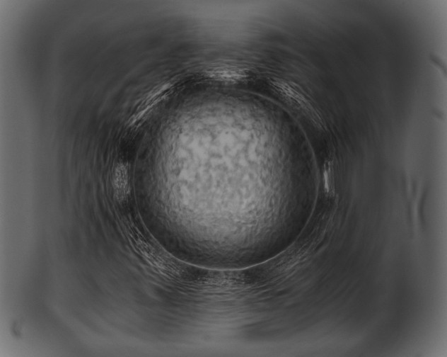 X0000101951347200807181441