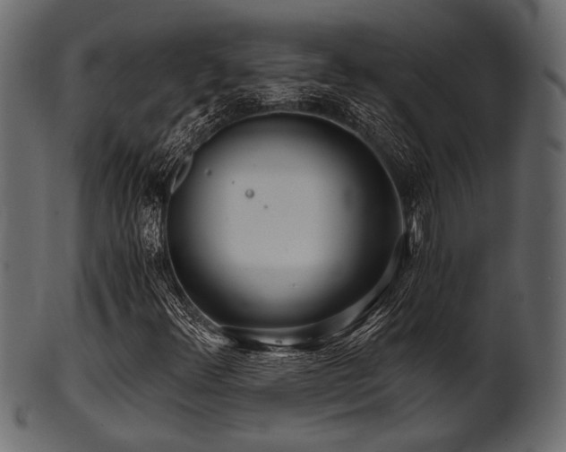 X0000101951348200807181441