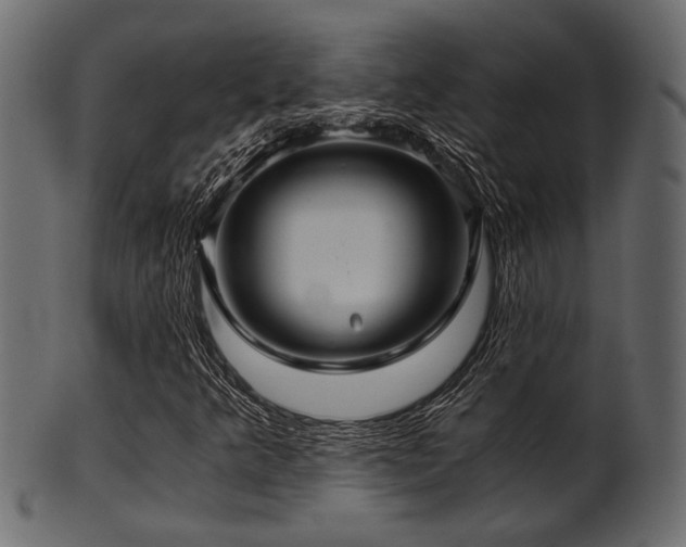 X0000101951349200807181441