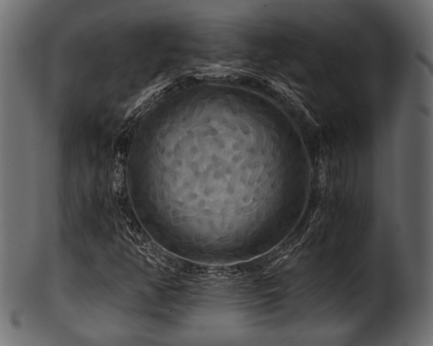 X0000101951350200807181441