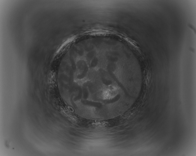 X0000101951351200807181441