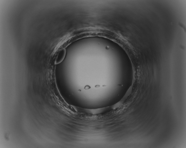 X0000101951352200807181441