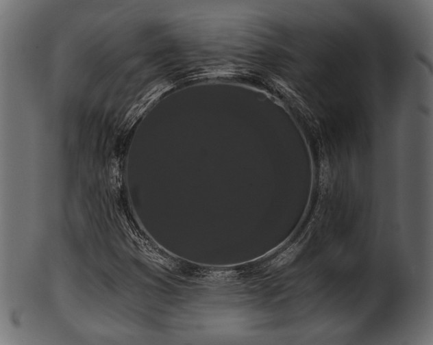 X0000101951353200807181441