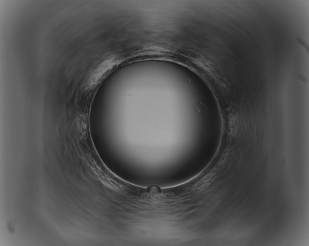 X0000101951355200807181440