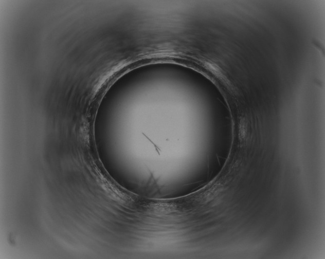 X0000101951356200807181440