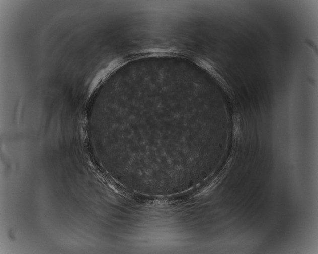 X0000101951357200807181440