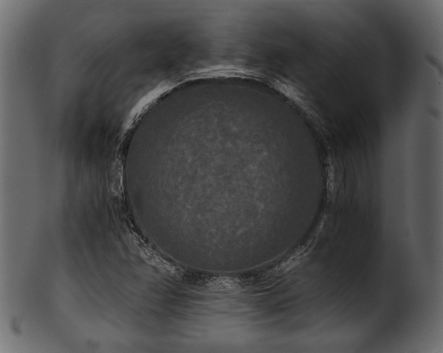 X0000101951358200807181440