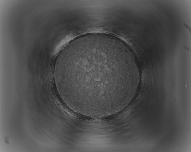 X0000101951359200807181440