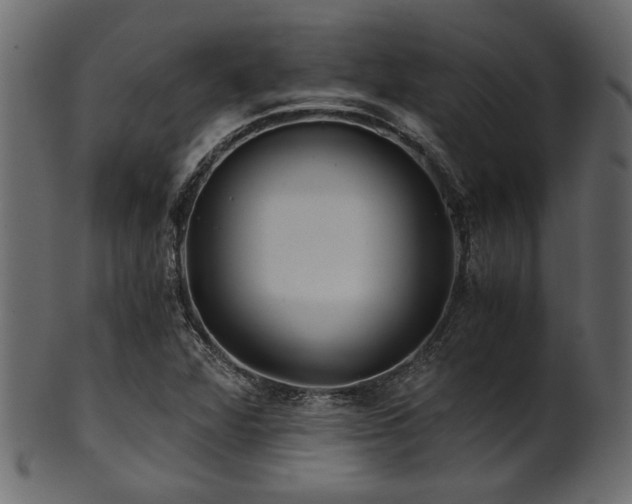 X0000101951360200807181440