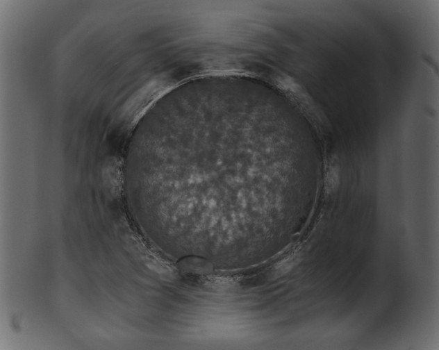 X0000101951361200807181440