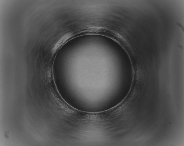 X0000101951362200807181440