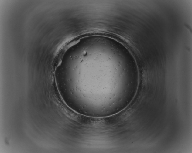 X0000101951363200807181440