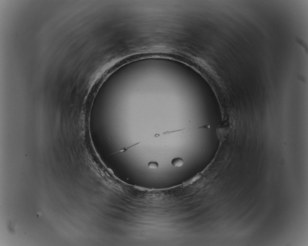 X0000101951364200807181440