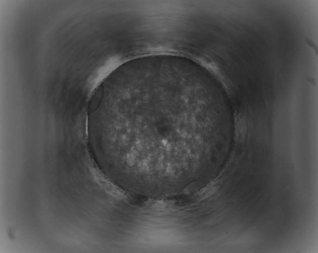 X0000101951365200807181440