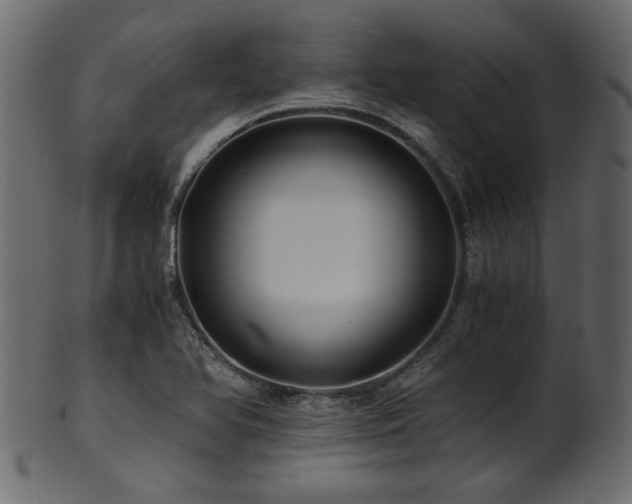 X0000101951366200807181440