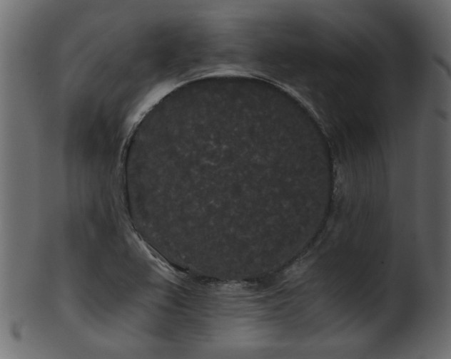 X0000101951367200807181440