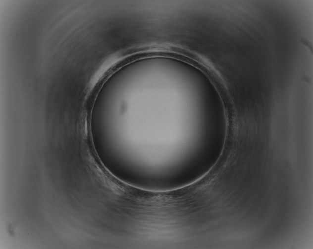 X0000101951368200807181440