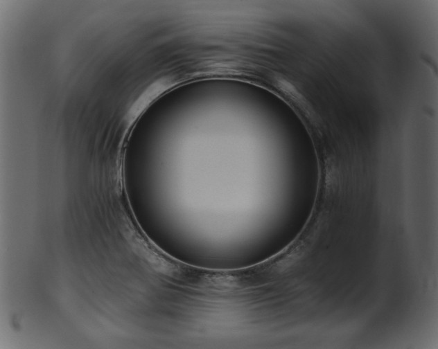 X0000101951370200807181440