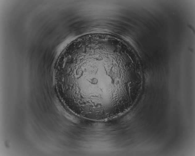 X0000101951371200807181440