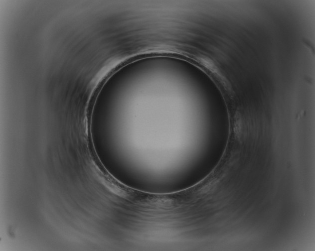 X0000101951372200807181440