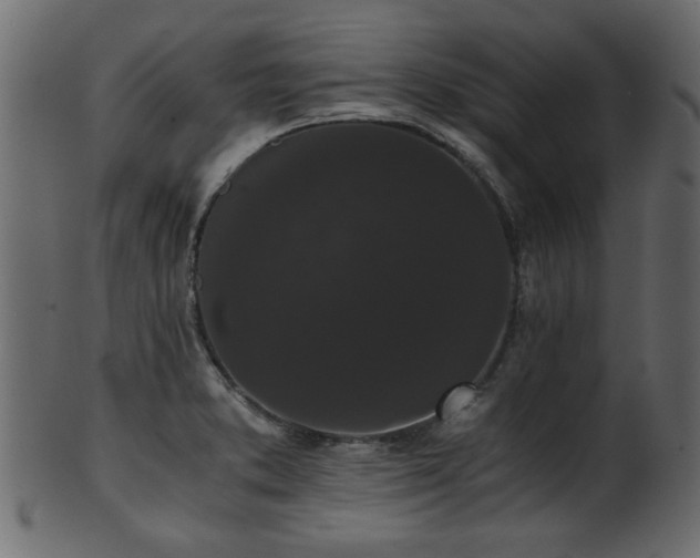 X0000101951373200807181440