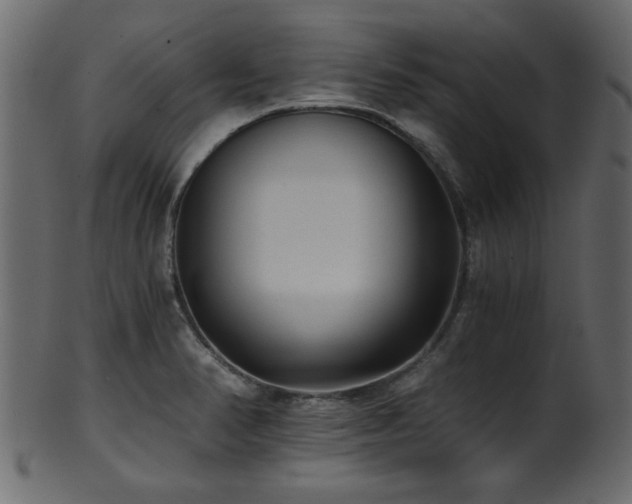 X0000101951374200807181440