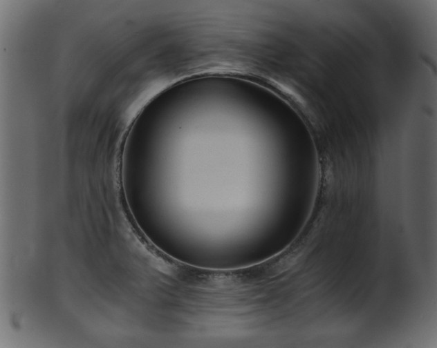 X0000101951375200807181440