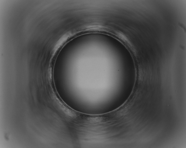 X0000101951376200807181440