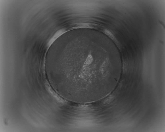 X0000101951378200807181440