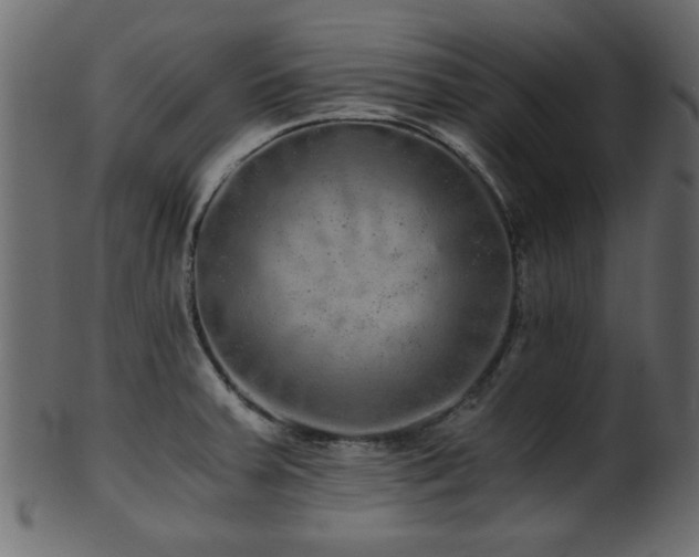 X0000101951379200807181440