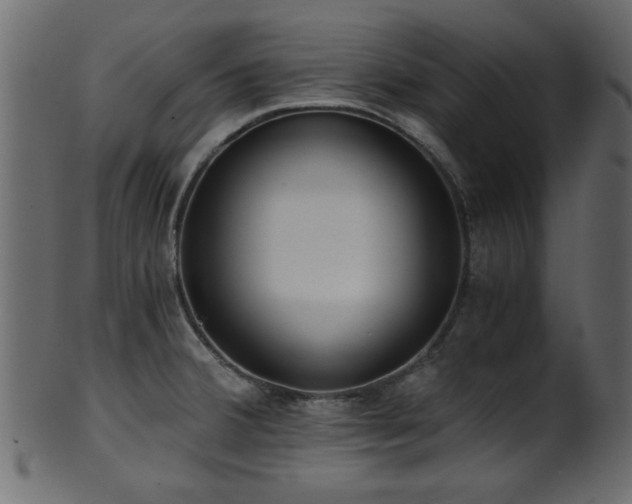 X0000101951380200807181440