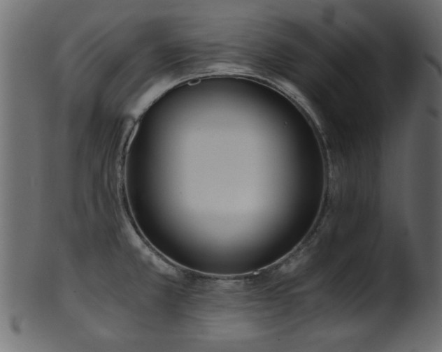 X0000101951381200807181440