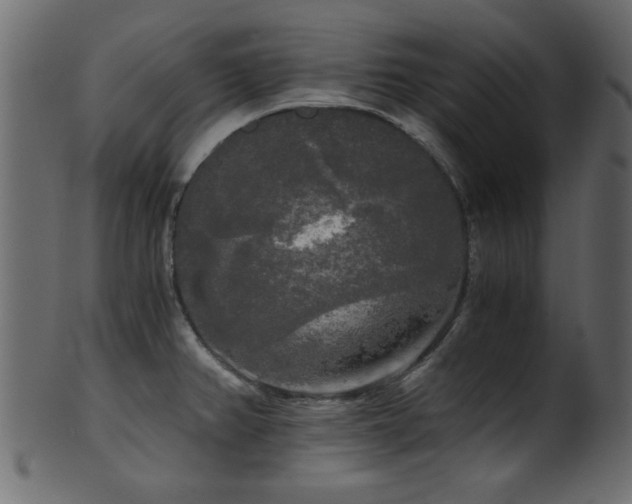 X0000101951382200807181440