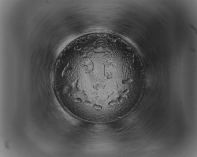 X0000101951383200807181440