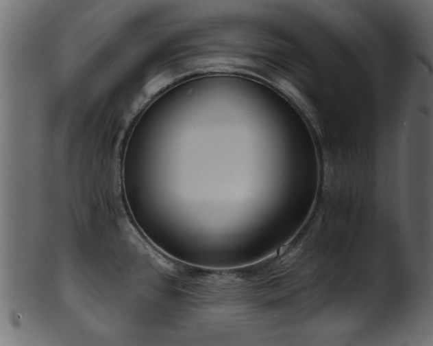 X0000101951384200807181440