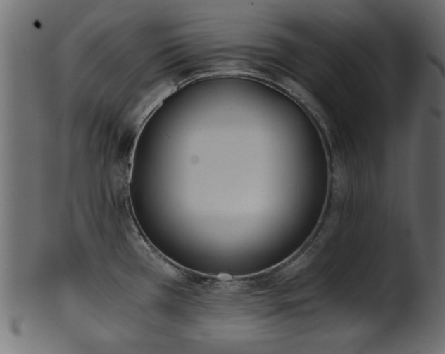 X0000101951385200807181440