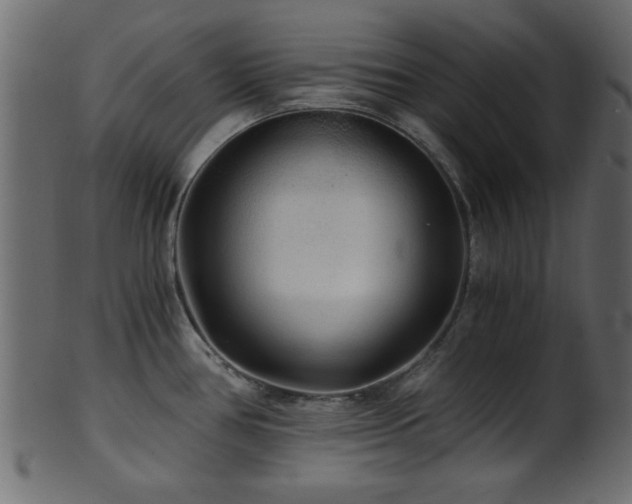 X0000101951386200807181440