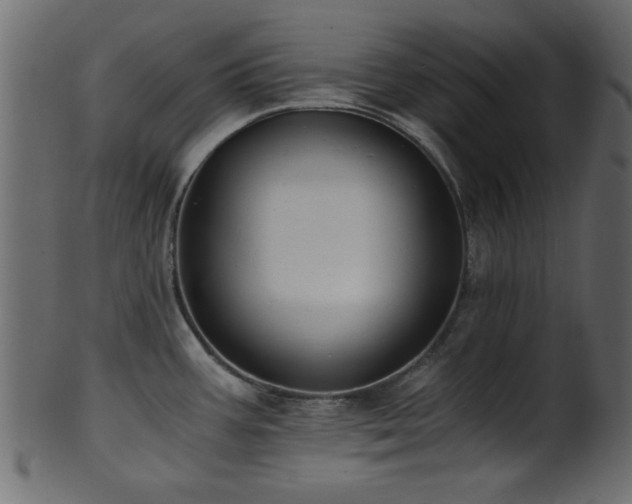 X0000101951387200807181440