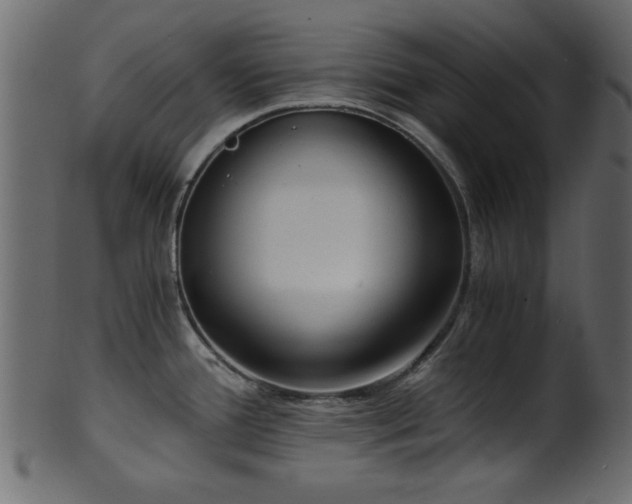 X0000101951388200807181440