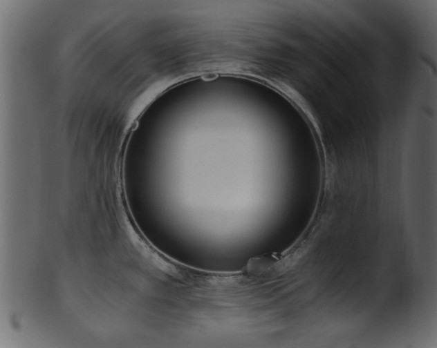 X0000101951389200807181440