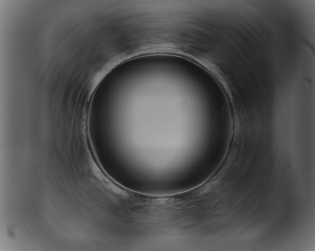 X0000101951390200807181440