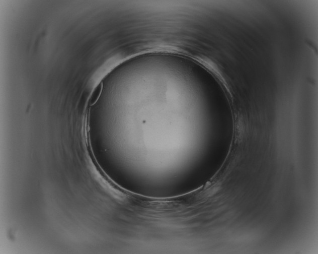 X0000101951391200807181440