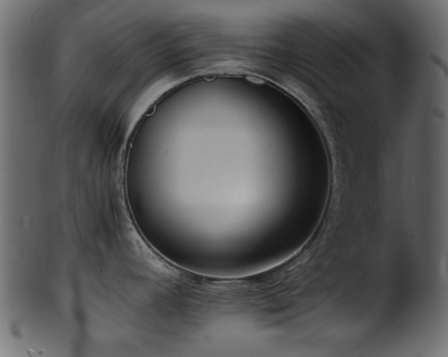 X0000101951392200807181440