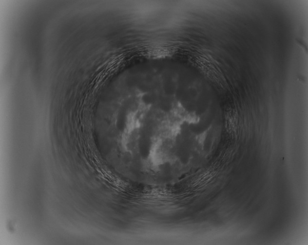 X0000101951393200807181439