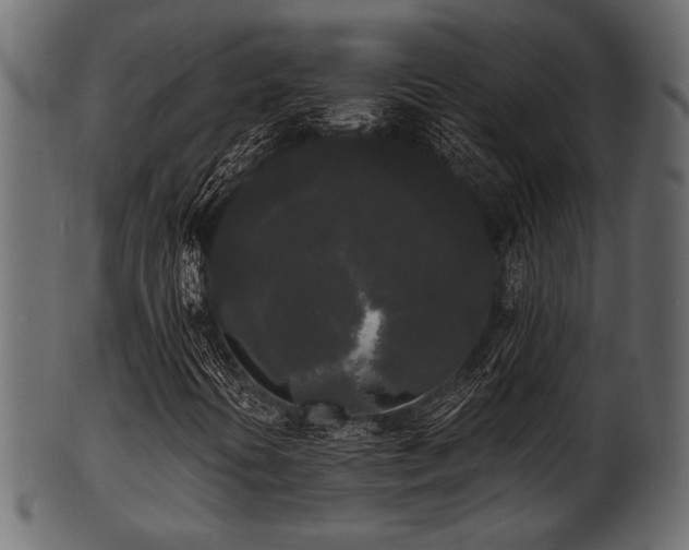 X0000101951394200807181439