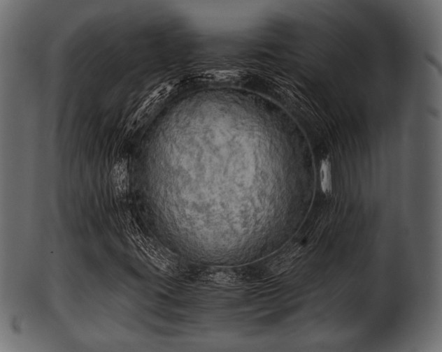 X0000101951395200807181439