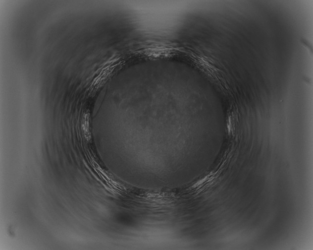 X0000101951396200807181439