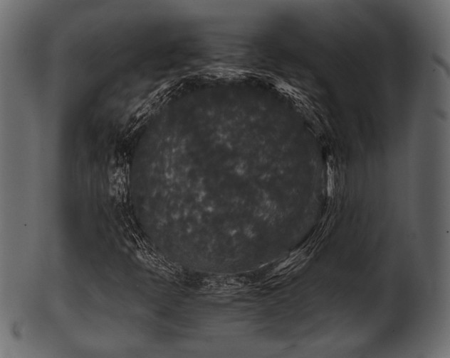 X0000101951397200807181439